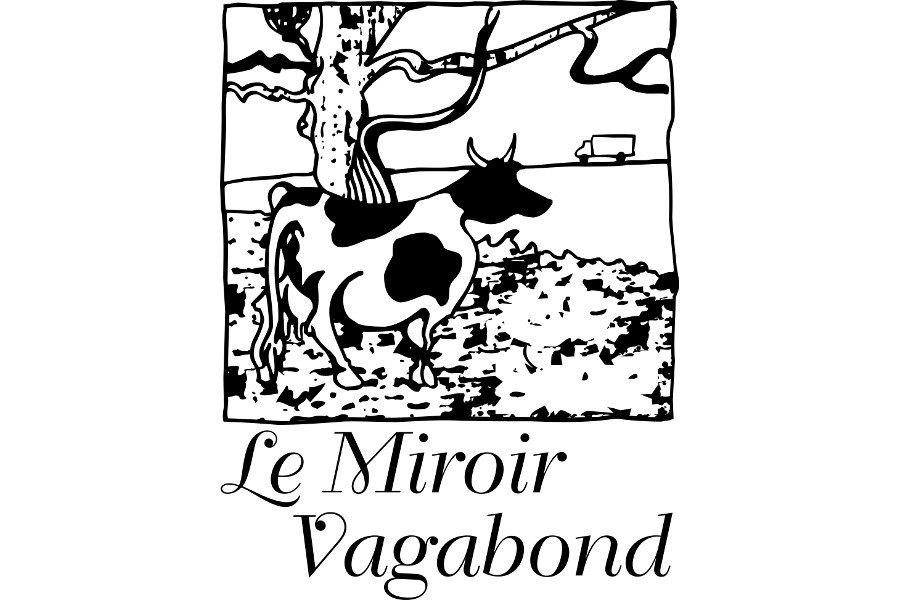 Miroir Vagabond asbl