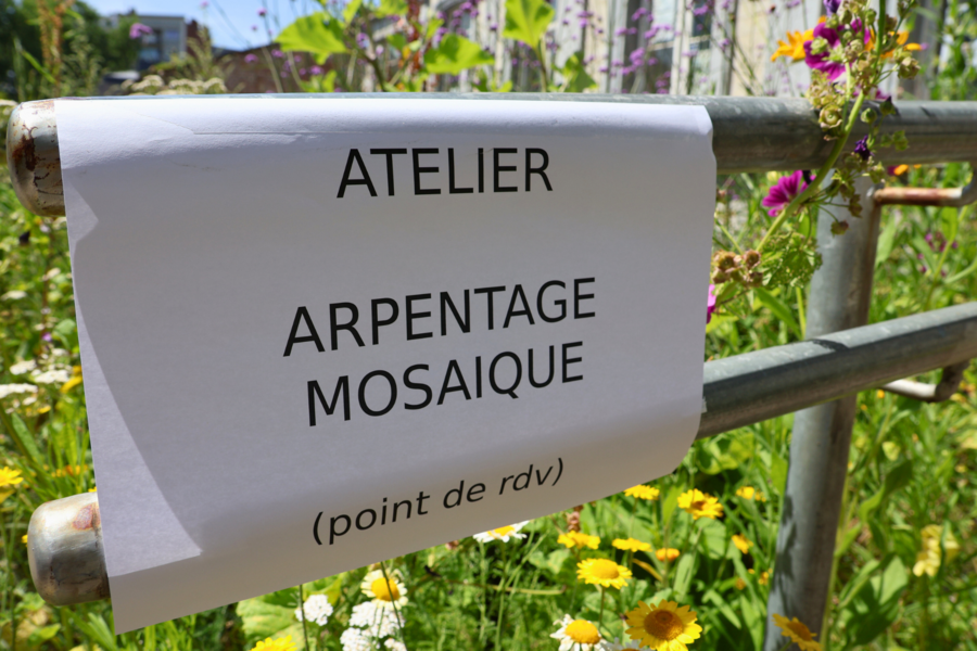 Des waow et des mercis ! #602