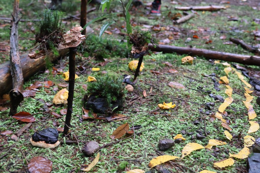 Causes communes, un espace d'échange où d'autres mondes sont possibles #628