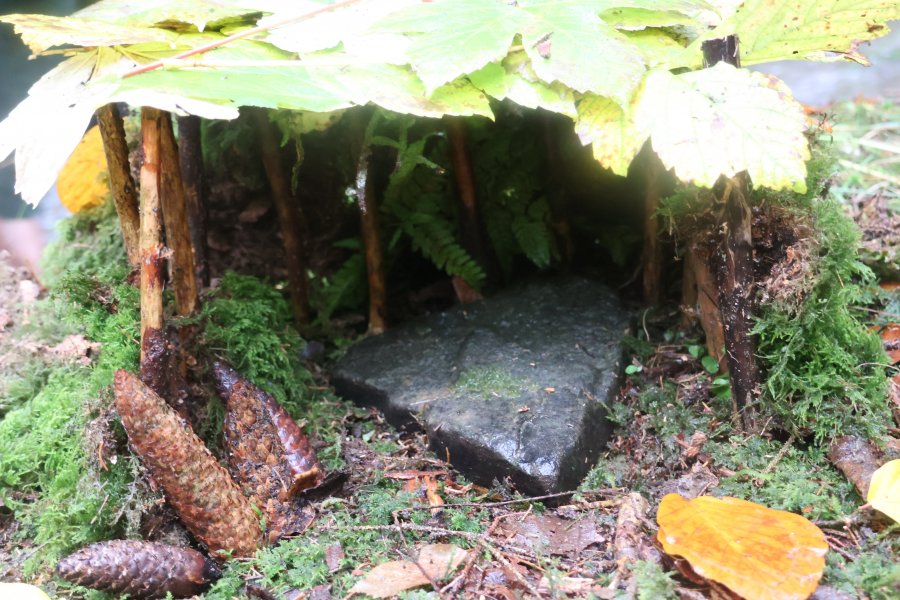 Causes communes, un espace d'échange où d'autres mondes sont possibles #628