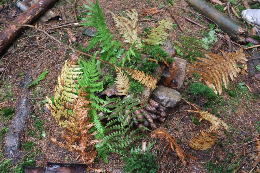 Causes communes, un espace d'échange où d'autres mondes sont possibles #628