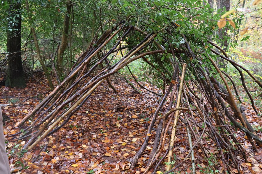 Causes communes, un espace d'échange où d'autres mondes sont possibles #628