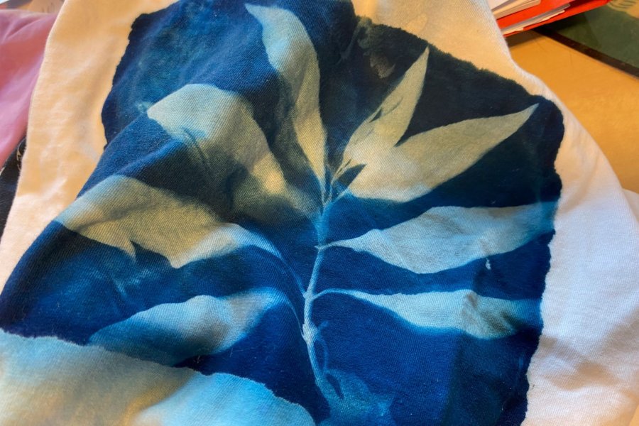 Une formation pour penser la photographie autrement #640