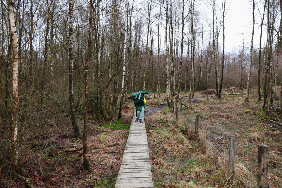 Une grande variété d'animations pour faire Causes communes ensemble #656