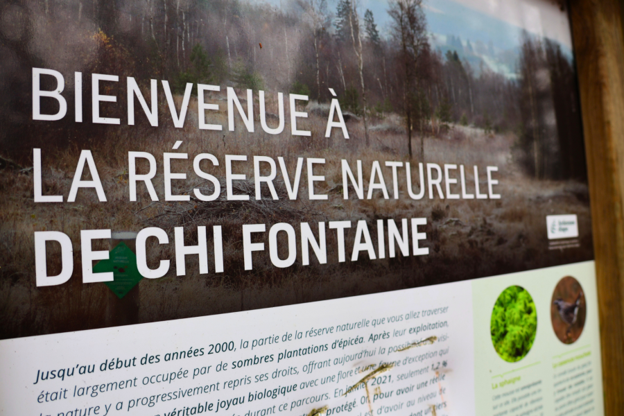 Une grande variété d'animations pour faire Causes communes ensemble #656