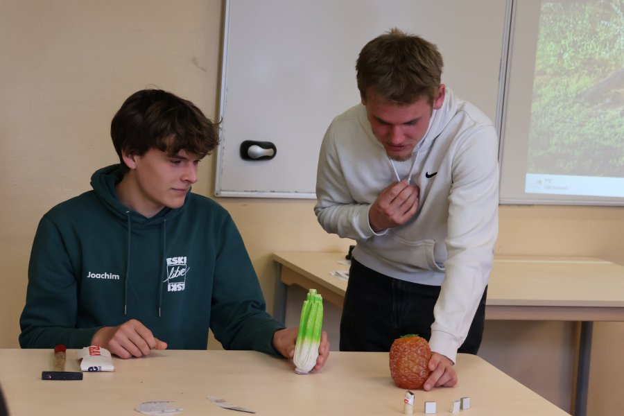 Le théâtre d'objets comme outil de lutte contre les discriminations #669