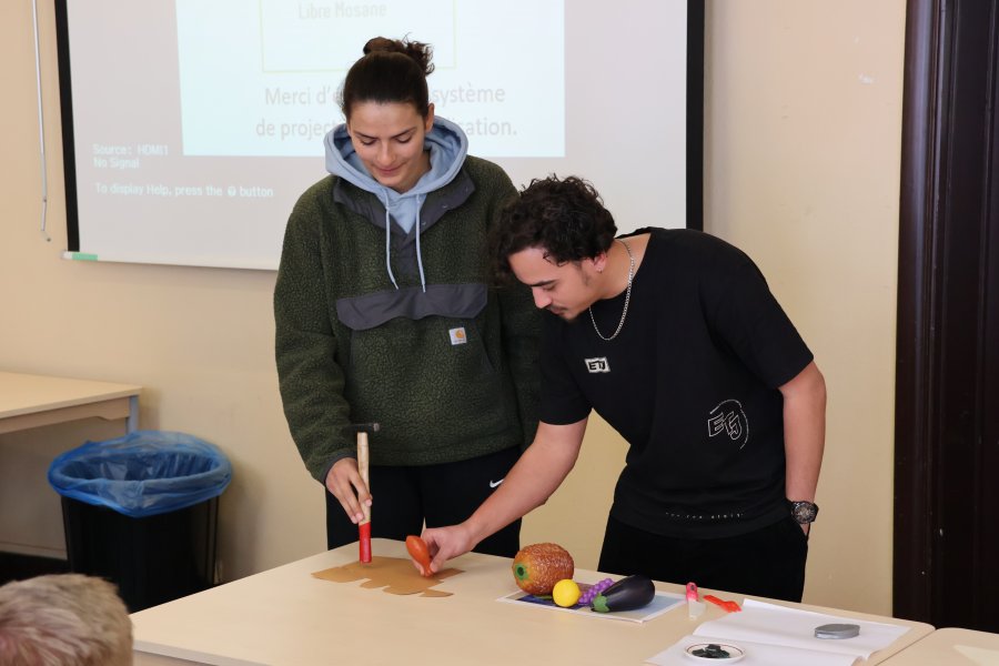 Le théâtre d'objets comme outil de lutte contre les discriminations #669