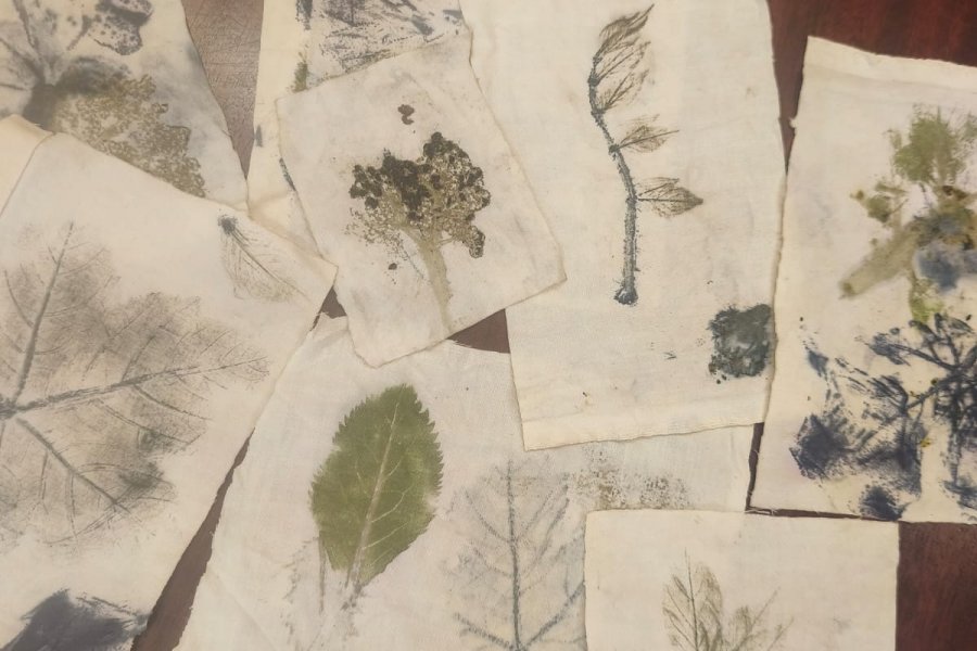 Réinventer l'herbier en un terrain de jeu créatif #712