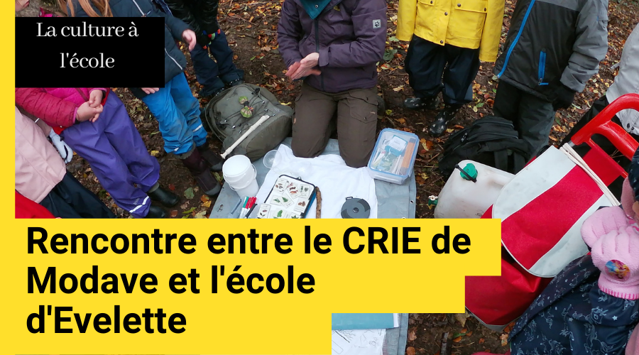 Tous dehors !