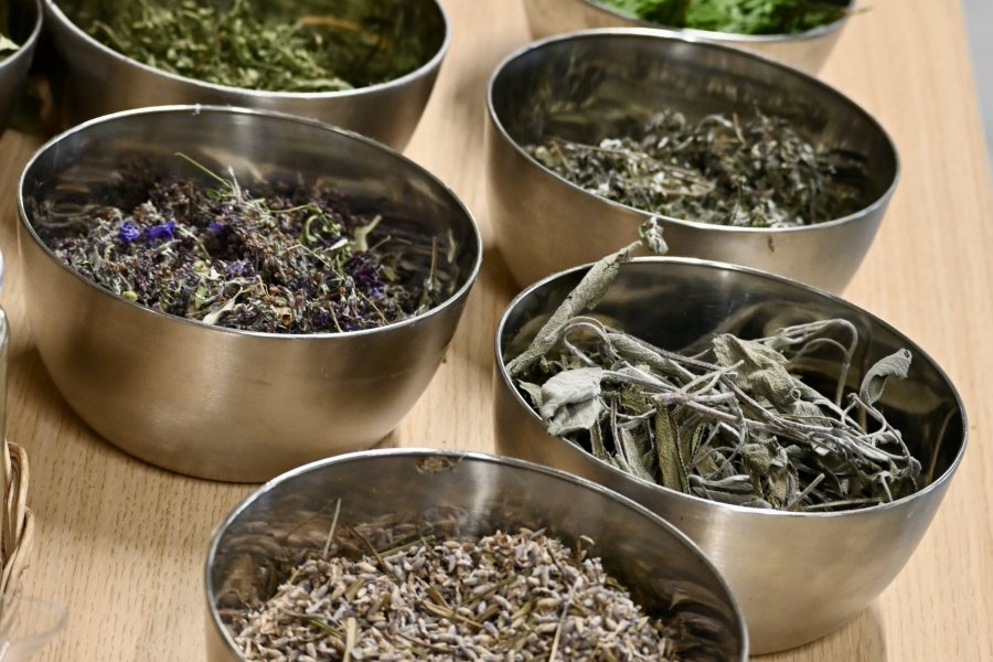 Fête des droits des enfants et des jeunes 2025 à Liège