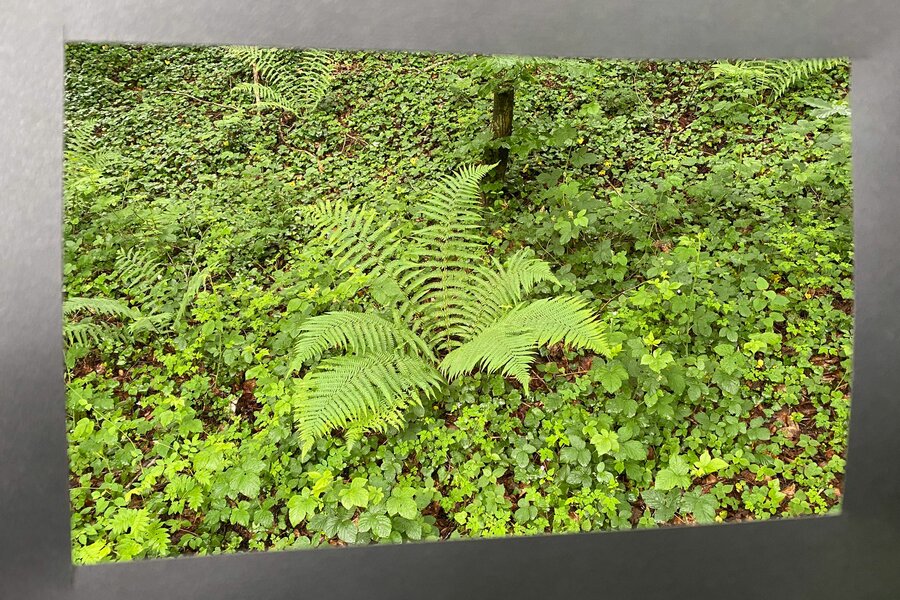 Land Art