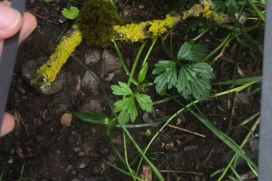 Land Art