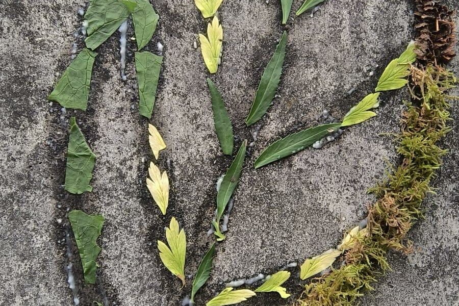 Land Art
